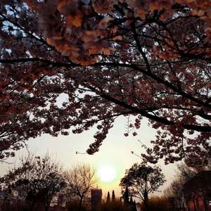 ▓草莓视频app成人▓
